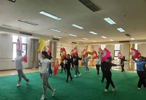 西青區(qū)文化文藝志愿服務(wù)在行動(dòng) 專業(yè)咨詢暖人心，藝術(shù)惠民譜新篇